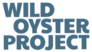 wildoysterlogobackgroundremoved.png